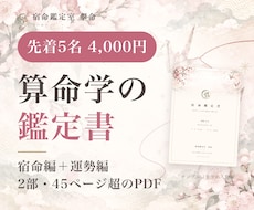 先着5名特価で宿命鑑定書と12年の運勢を作ります イメージ1