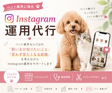 ペット業界特化のInstagram運用代行をします イメージ1