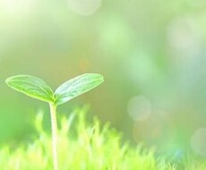 悩み，愚痴，些細なことでも相談のります イメージ1