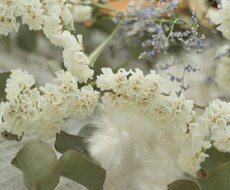 カウンセリングにスパイス！！ポジティブにします イメージ1
