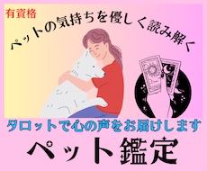 ペットの気持ちをタロットで優しく読み解きます イメージ1