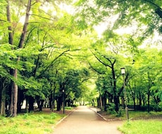 鬱病患者ご家族の方へ、接し方をアドバイスします イメージ1