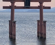 令和8年前半の運気を占います イメージ1
