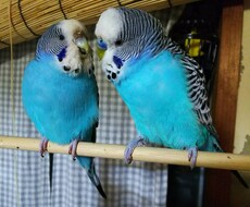宅地建物取引士 の勉強方法をアドバイスします イメージ1