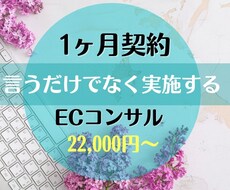 ECサイト月額コンサル＆改善施策を実施します 言うだけでなく施策実施まで。サイト分析しながら実施します！