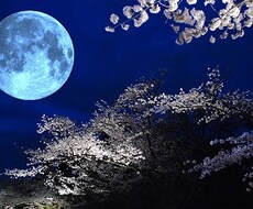 あなたの心が楽になります お悩み、心理、占い、ご相談下さい。