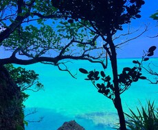 石垣島　ココナラ復帰の為10月までキャンペーンます イメージ1