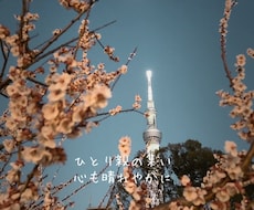 ひとり親の悩み、なんでもききます イメージ1