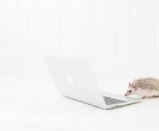 忙しい人のためにデータ入力いたします イメージ1