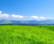 私生活のお悩み、就活や受験など様々なご相談承ります イメージ1