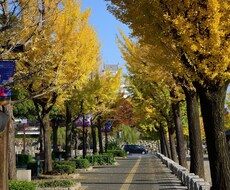 11月の運気を占います 次に来る流れには〇〇をして〇〇には要注意!