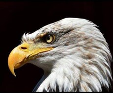現状をズバリ視ます 真実を知る勇気のない方はご遠慮下さい