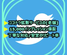 複数アカウントを使ってTwitterで宣伝します [老舗]高アクティブなフォロワー様多数！どんな内容でも拡散！