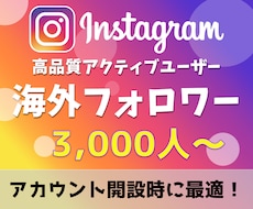 インスタ海外フォロワーを3,000人〜増やします ブランディングや集客強化の土台づくりに最適