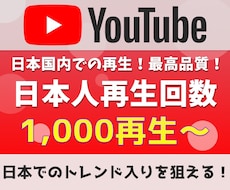 YouTube日本人再生数1000回～増加させます イメージ1