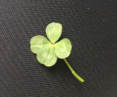 算命学を使って幸せになる方法をお知らせします イメージ1