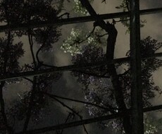 色々な悩み、うつ病で悩まれている方相談乗ります イメージ1