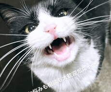 あなたのご相談、お悩み僕も一緒に考えます イメージ1