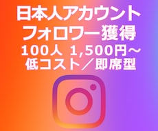 IG:日本人フォロワー獲得を支援します イメージ1