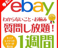 ebayのお困り事、お悩みに1週間答えまくります トップレイテッドセラーが実体験に基づいてアドバイス！