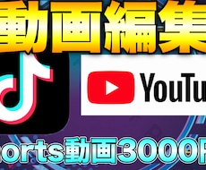 YouTube、TikTokの動画編集をします イメージ1