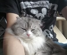 生きにくさを解決するサポートします イメージ1