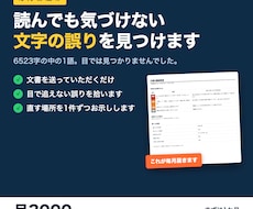 文章の誤字脱字を機械で洗い出し校正します イメージ1