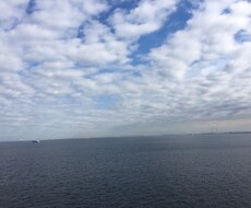 様々な人間関係についてご相談承ります