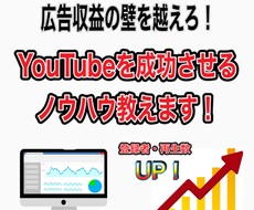YouTubeのコンサルティングをいたします 登録者数・再生回数が伸びないとお悩みの方に