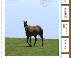 地方競馬中央競馬の予想を提供します