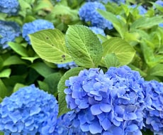オーダーメイドな相談に乗ります イメージ1