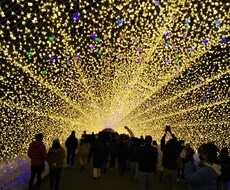 自殺未遂から立ち直り手探りながら進んでます イメージ1