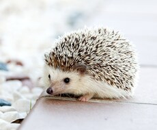 どんなお悩みでもお聞きします イメージ1
