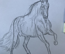 どんな絵でも描きます 言葉の通り、あなたの理想をお届けいたしましょう！