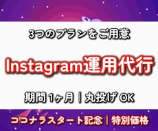 Instagram運用代行します イメージ1