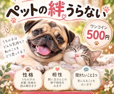 愛するペットとの絆を占います イメージ1