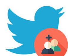 Twitterフォロワー+100～拡散支援します +100人から最大+5000人まで拡散可能です❕