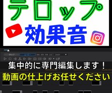 動画にテロップ・効果音を専門に低価格で入れます イメージ1