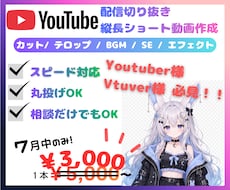 配信動画をテンポのよい動画に編集します 目を止めてもらえるショート動画、まるっと作ります