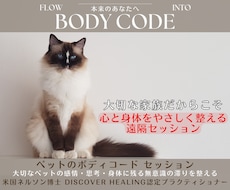 愛するペットの心・体・エネルギーを根本から整えます 言葉にならない不調にエネルギーの視点からしっかり寄り添います