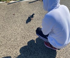 講師の経験を生かして皆さんの悩み相談に乗ります イメージ1