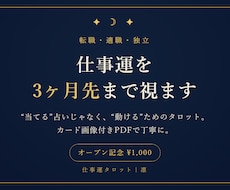 転職・適職・独立◇仕事運を3ヶ月先まで視ます イメージ1