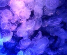 愚痴や世間話！暇つぶしにいかがですか？だれでもいいから話したい！って時ありますよね？(*´ω`*) イメージ1