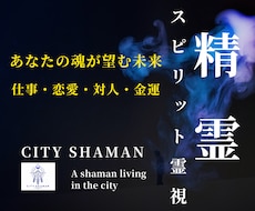 精霊スピリット霊視｜あなたの魂が望む未来へ導きます 恋愛・仕事・金運・対人｜願望成就を高次の声からお伝えします