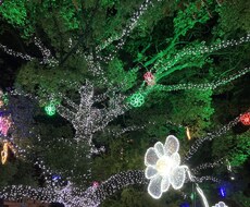 気軽に話してみませんか？モヤモヤイライラ何聞きます イメージ1