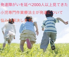 ネットより確かなお家で今日からできる発達支援します イメージ1