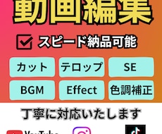 SNS・YouTube、ショート動画編集します あなたの動画をセンス良く見せるお手伝い。