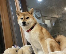 何でも聞きますよ！！ぜひご利用ください！！ます イメージ1