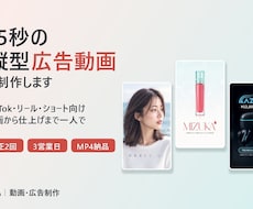 15秒の縦型SNS広告動画を制作します イメージ1