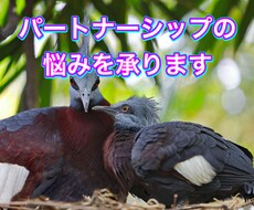 パートナーシップでの悩みを聞きます イメージ1